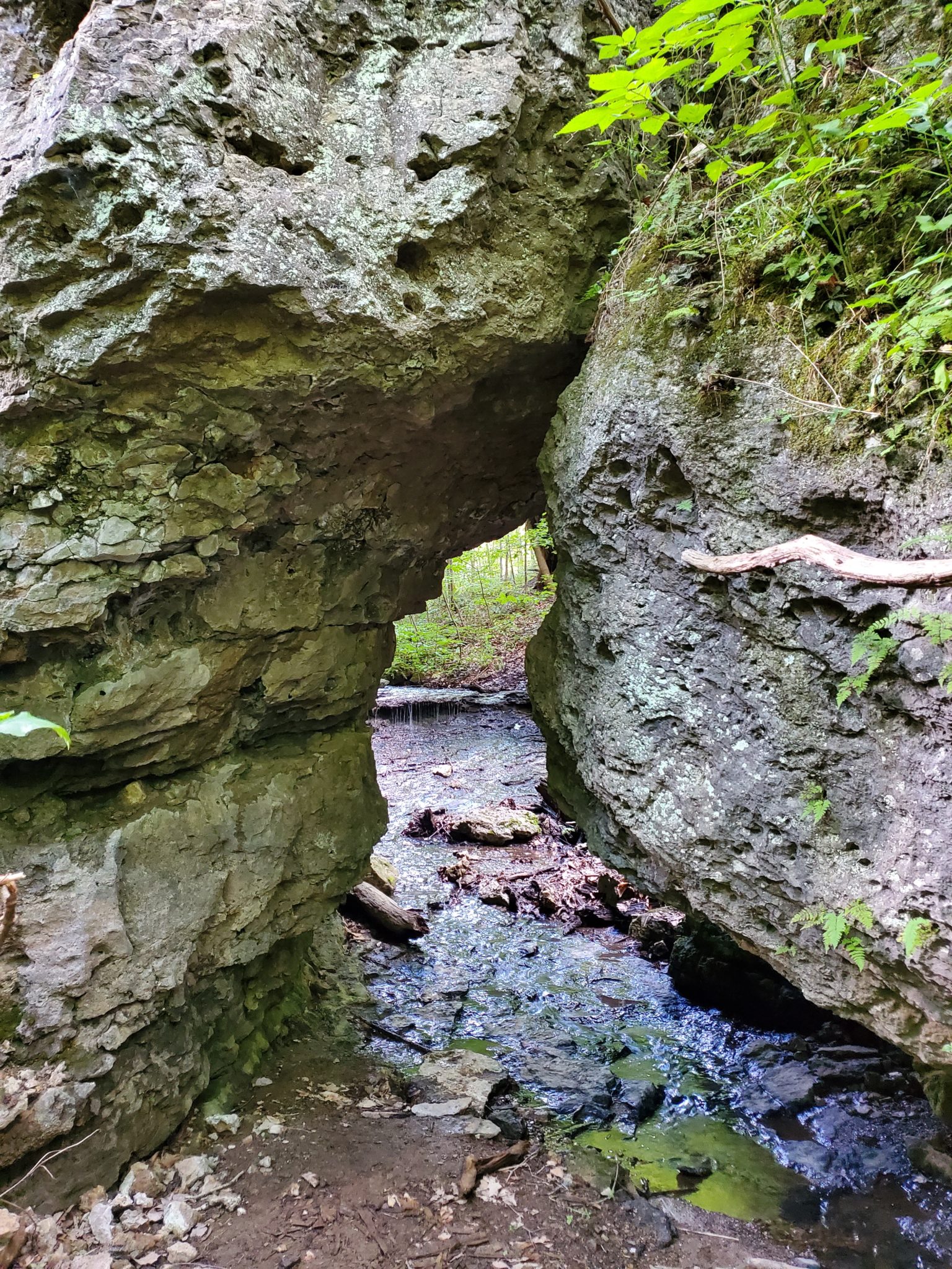 Arc Of Appalachia: The Natural Treasures In Appalachian Ohio By Mike ...