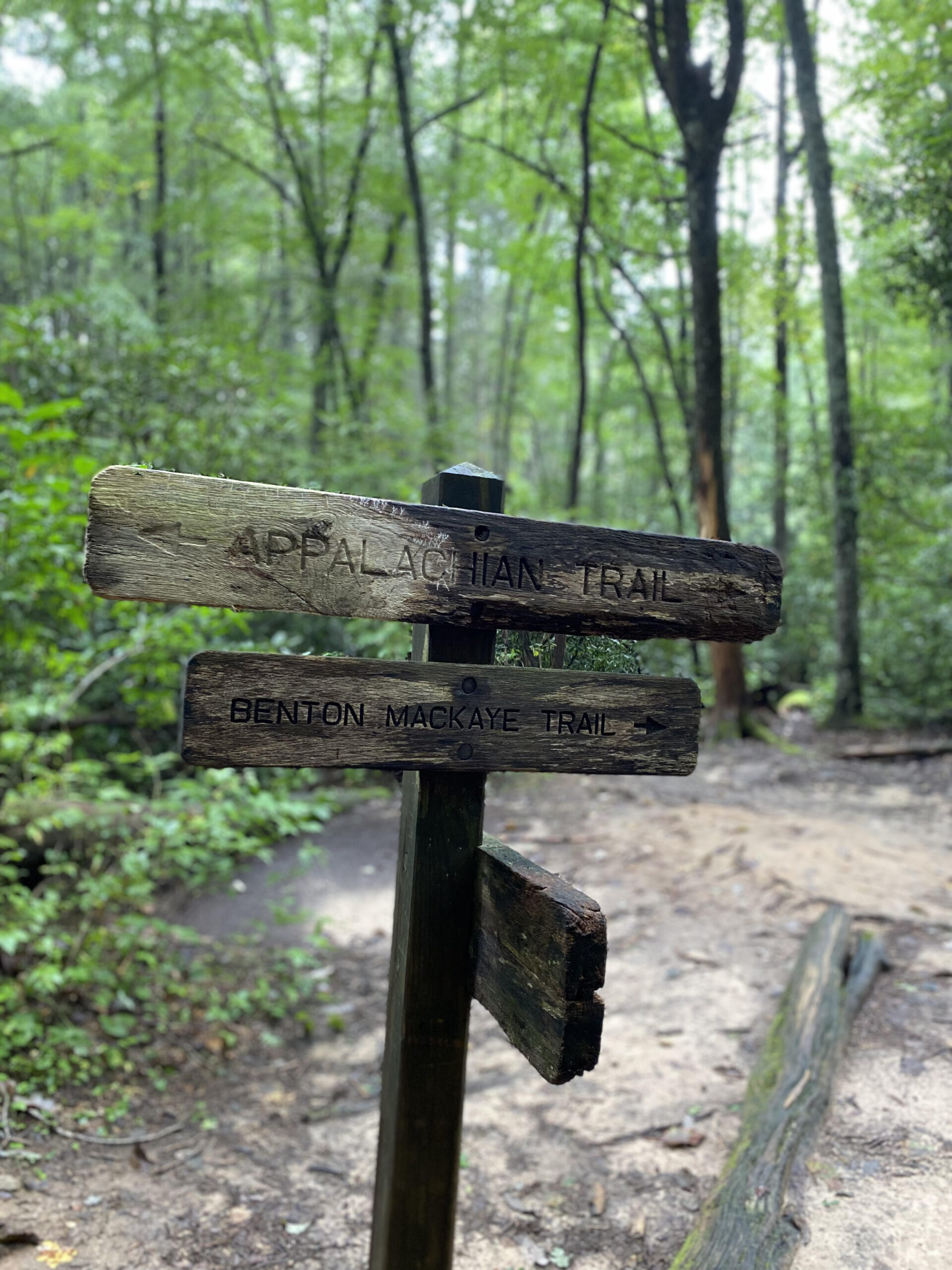 Trail signs from the Appalachian Trail