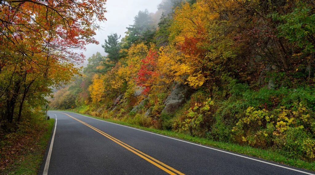 Skyline Drive, Shenandoah National Park