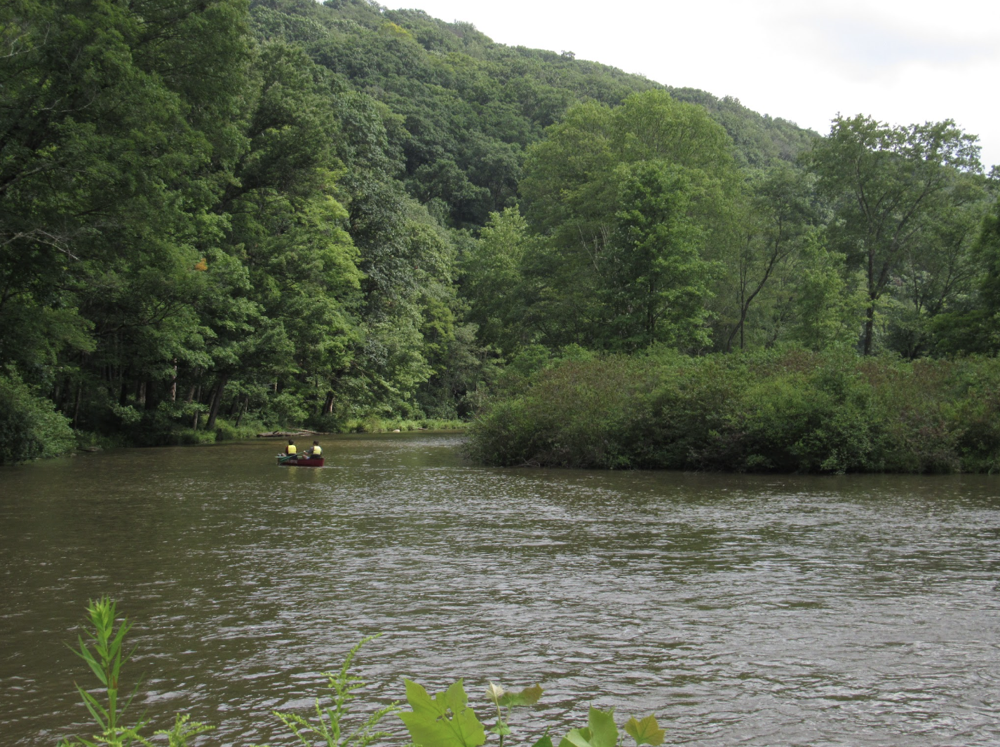 Laurel Hill Creek in Somerset, Pennsylvania